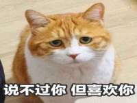 北京顺义水上公园投资发展中心