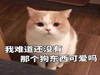 北京顺义水上公园投资发展中心