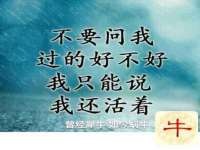 北京顺义水上公园投资发展中心