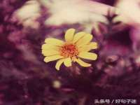 北京顺义水上公园投资发展中心