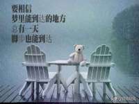北京顺义水上公园投资发展中心