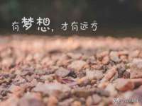 北京顺义水上公园投资发展中心