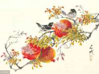 北京顺义水上公园投资发展中心