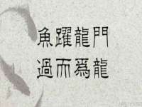 北京顺义水上公园投资发展中心