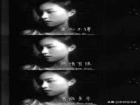 北京顺义水上公园投资发展中心