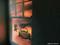 北京顺义水上公园投资发展中心