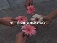 北京顺义水上公园投资发展中心