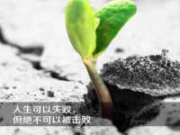 北京顺义水上公园投资发展中心