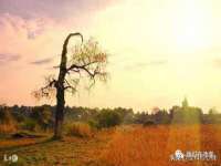 北京顺义水上公园投资发展中心