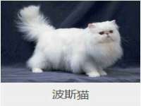 北京顺义水上公园投资发展中心