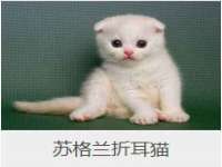 北京顺义水上公园投资发展中心