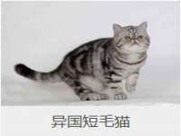 北京顺义水上公园投资发展中心