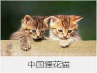 北京顺义水上公园投资发展中心