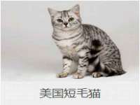 北京顺义水上公园投资发展中心
