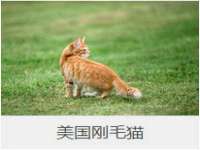 北京顺义水上公园投资发展中心