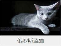 北京顺义水上公园投资发展中心