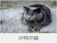 北京顺义水上公园投资发展中心