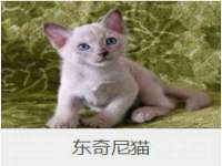 北京顺义水上公园投资发展中心