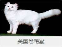 北京顺义水上公园投资发展中心