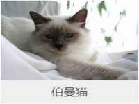 北京顺义水上公园投资发展中心