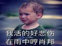 北京顺义水上公园投资发展中心