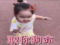 北京顺义水上公园投资发展中心