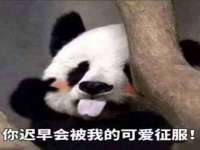 北京顺义水上公园投资发展中心