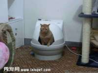 北京顺义水上公园投资发展中心