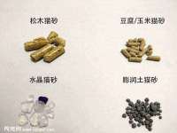 北京顺义水上公园投资发展中心