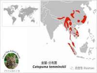 北京顺义水上公园投资发展中心