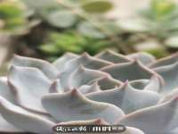北京顺义水上公园投资发展中心