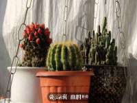 北京顺义水上公园投资发展中心