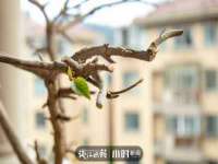 北京顺义水上公园投资发展中心