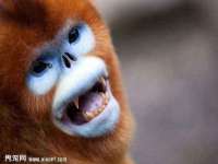 北京顺义水上公园投资发展中心