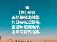 北京顺义水上公园投资发展中心