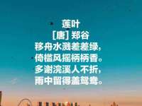 北京顺义水上公园投资发展中心