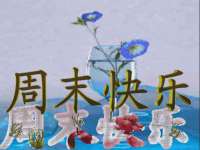北京顺义水上公园投资发展中心