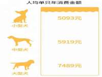 北京顺义水上公园投资发展中心
