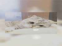北京顺义水上公园投资发展中心