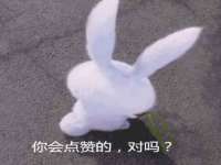北京顺义水上公园投资发展中心