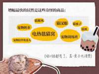 北京顺义水上公园投资发展中心