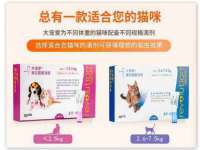 北京顺义水上公园投资发展中心