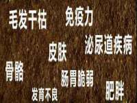 北京顺义水上公园投资发展中心