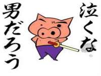 北京顺义水上公园投资发展中心
