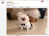 北京顺义水上公园投资发展中心