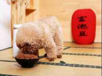 北京顺义水上公园投资发展中心