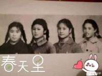 北京顺义水上公园投资发展中心