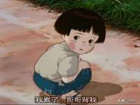 北京顺义水上公园投资发展中心