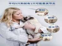 北京顺义水上公园投资发展中心