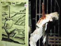 北京顺义水上公园投资发展中心